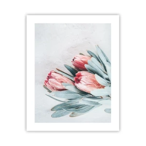 Poster - Schämen sich für ihre eigene Schönheit - 40x50 cm