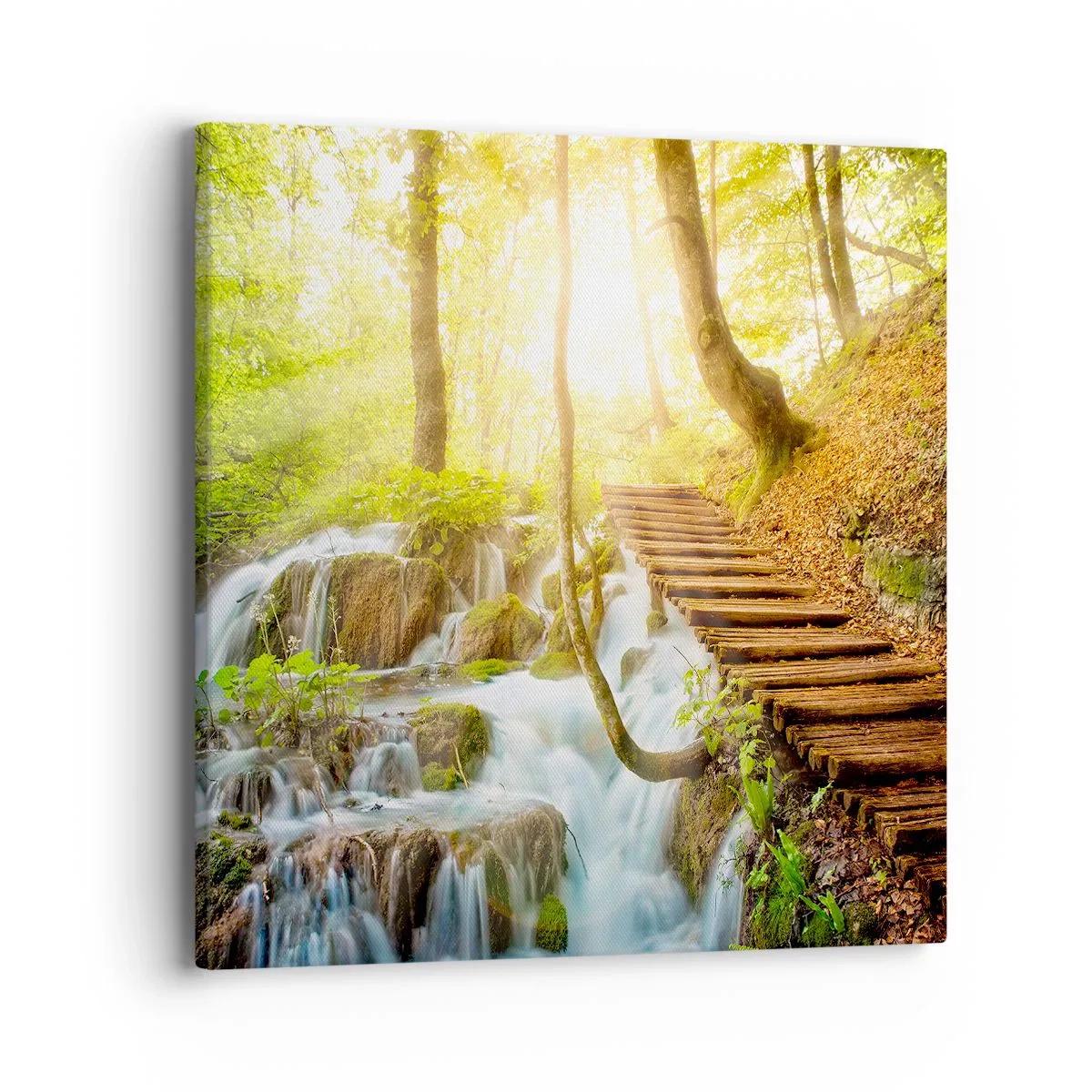 Bild auf Leinwand - Leinwandbild - Eine ersehnte Kühle - 40x40 cm