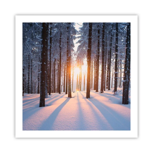 Poster - Ganz klar schwarz auf weiß - 60x60 cm