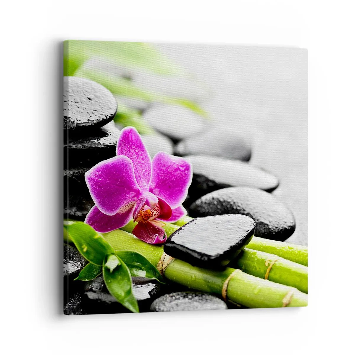 Bild auf Leinwand - Leinwandbild - In ruhiger Balance - 40x40 cm