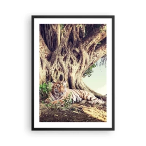 Poster in einem schwarzem Rahmen - Ein Tiger ruht unter einem riesigen Baum mit verschlungenen Wurzeln. - 50x70cm - Blick aus dem Buch Genesis - Moderne Wanddekoration für Wohnzimmer und Schlafzimmer ARTTOR