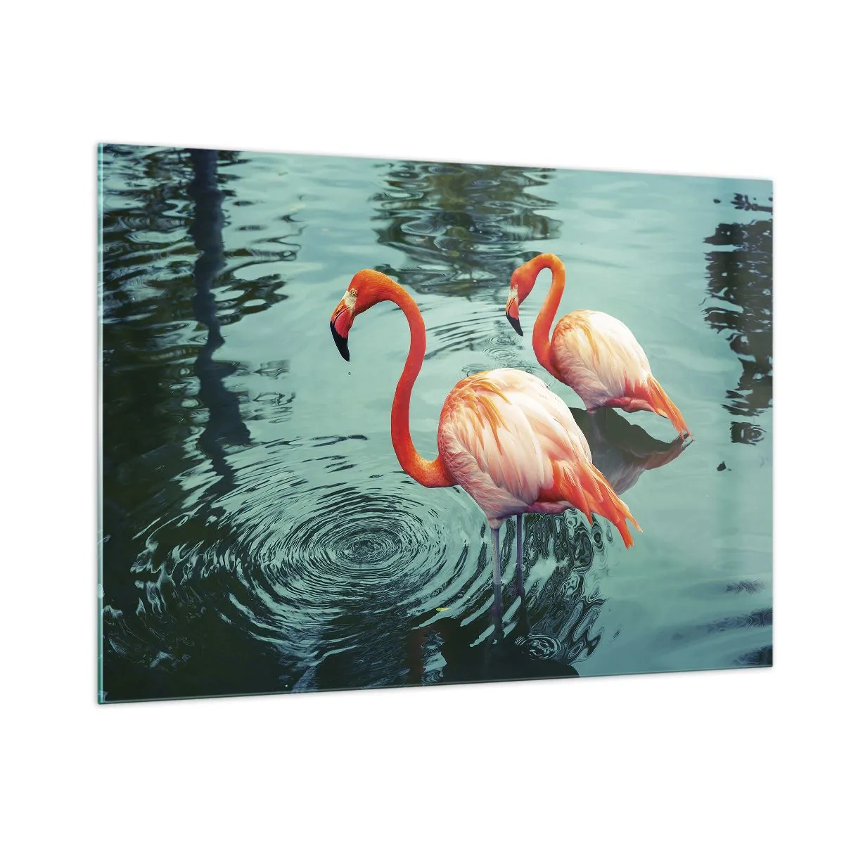 Glasbild - Bild auf glas - Flamingos auf dem Wasser in harmonischer Komposition - 100x70cm - Wir sind jetzt in Mode - Moderne Wanddekoration für Wohnzimmer und Schlafzimmer ARTTOR