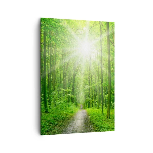 Bild auf Leinwand - Leinwandbild - Pfad im Wald mit Sonnenstrahlen - 50x70cm - Die grüne Kathedrale - Moderne Wanddekoration für Wohnzimmer und Schlafzimmer ARTTOR