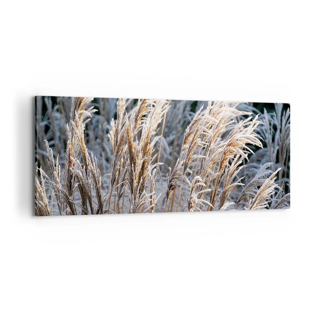 Bild auf Leinwand - Leinwandbild - Gekleidet mit Frost - 100x40 cm