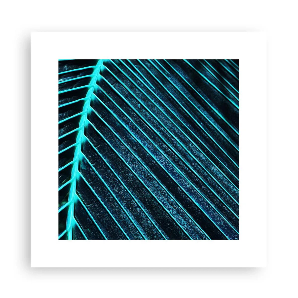 Poster - Grüne Textur - 30x30 cm