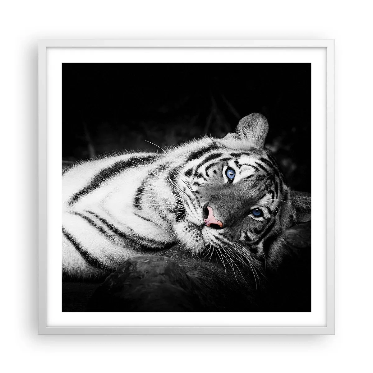 Poster in einem weißen Rahmen - Wildnis und Frieden - 60x60 cm