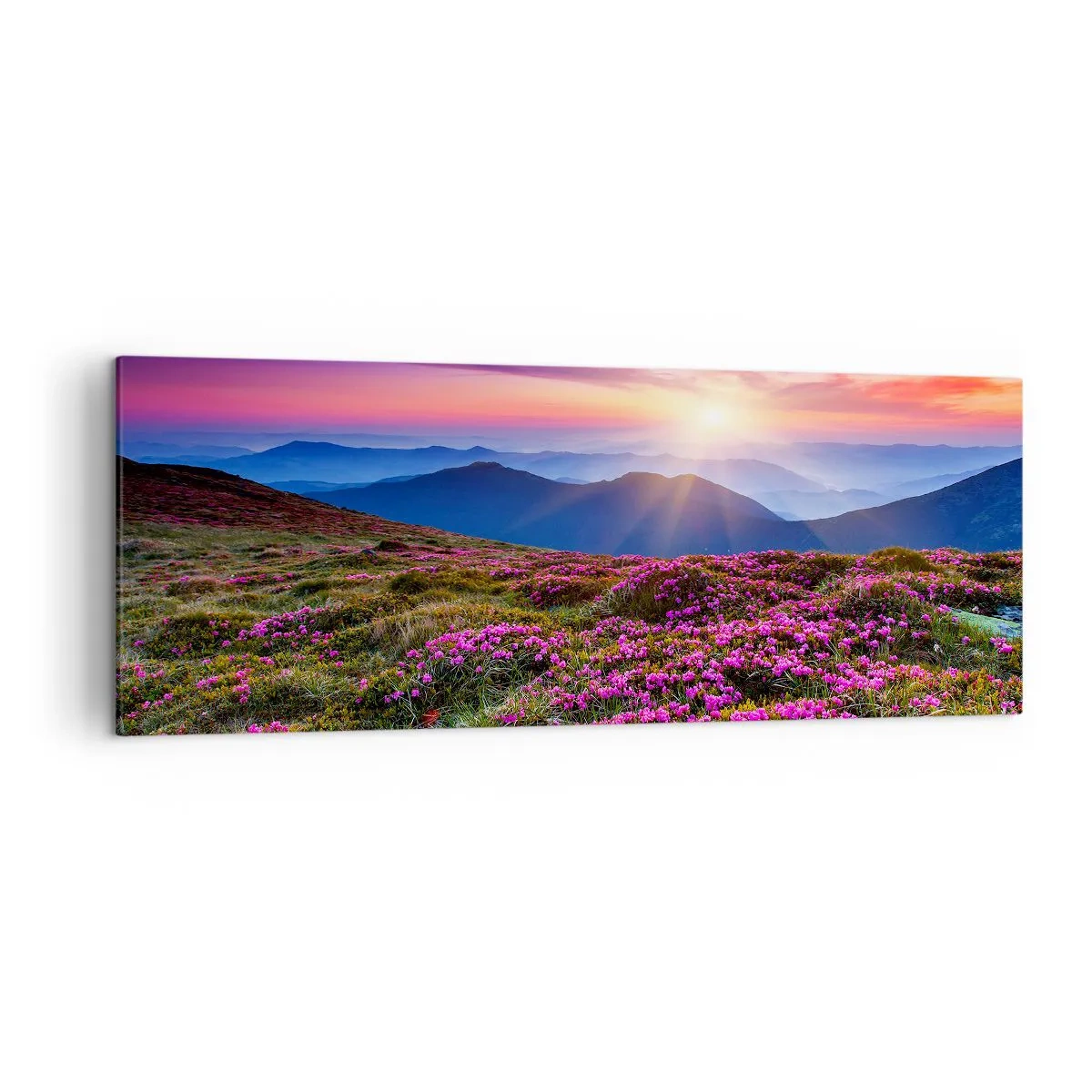 Bild auf Leinwand - Leinwandbild - Bergwiese mit Blumen bei Sonnenuntergang - 140x50cm - Kräuter dufteten nach frischen Trauben von den Feldern - Moderne Wanddekoration für Wohnzimmer und Schlafzimmer ARTTOR