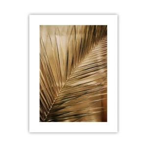 Poster - Natürliche Kolonnade - 30x40 cm
