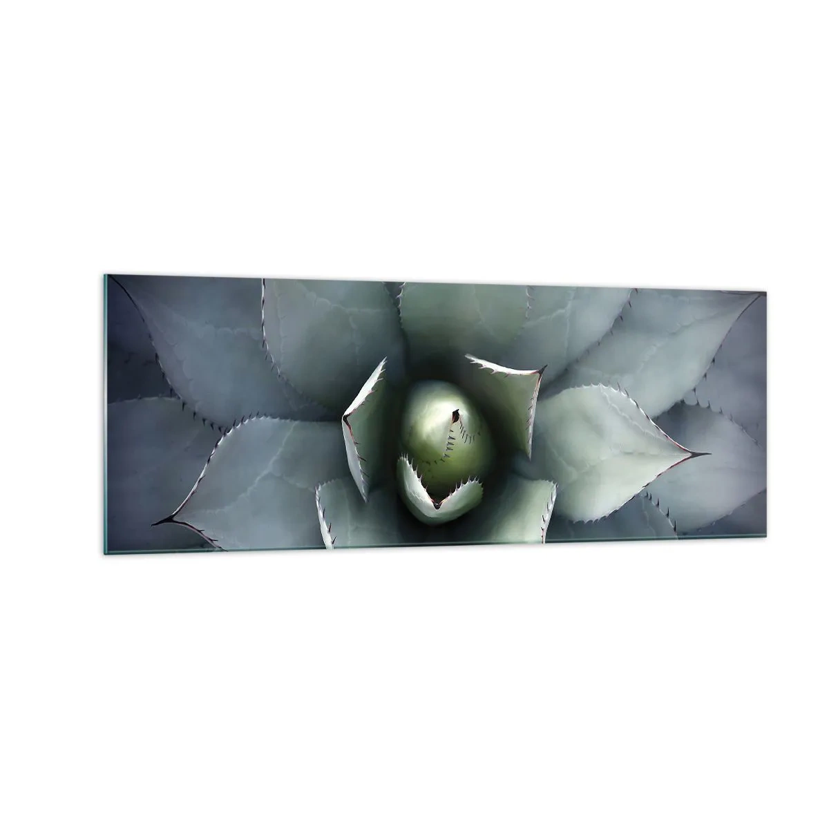 Glasbild - Bild auf glas - Nahaufnahme einer Agavenrosette in zarten Grüntönen - 140x50cm - Es lockt an und warnt - Moderne Wanddekoration für Wohnzimmer und Schlafzimmer ARTTOR
