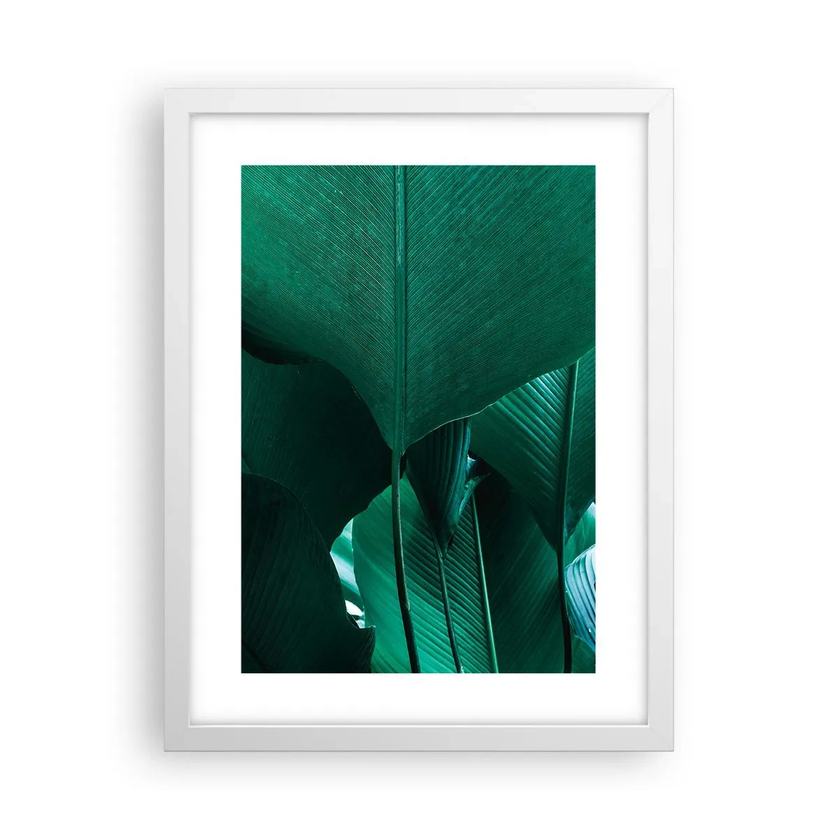 Poster in einem weißen Rahmen - Dem Licht zugewandt - 30x40 cm