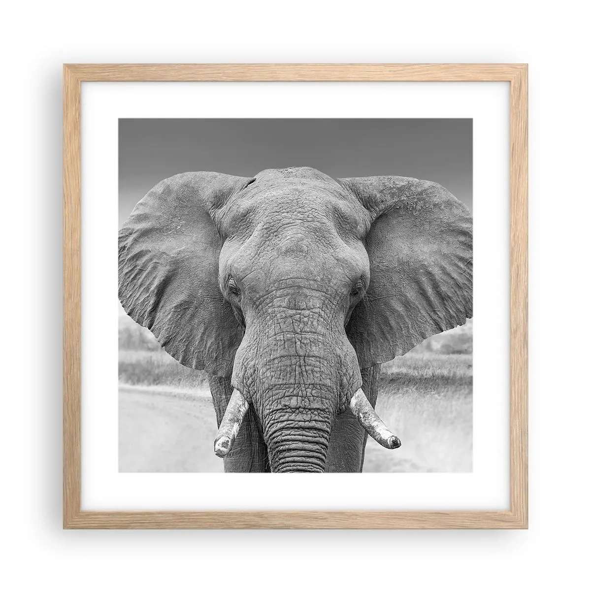 Poster in einem Rahmen aus heller Eiche - Willkommen in meiner Welt - 40x40 cm