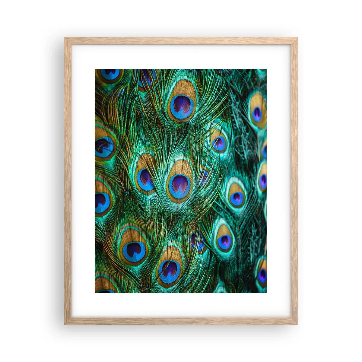 Poster in einem Rahmen aus heller Eiche - Ein Blick mit Pfauenaugen - 40x50 cm