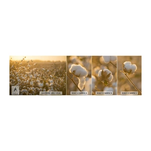 Fototapeten Muster Selbstklebend Deluxe Sticker - Fluffiges Feld - Baumwollfeld, Asien, Natur - 100x30 cm