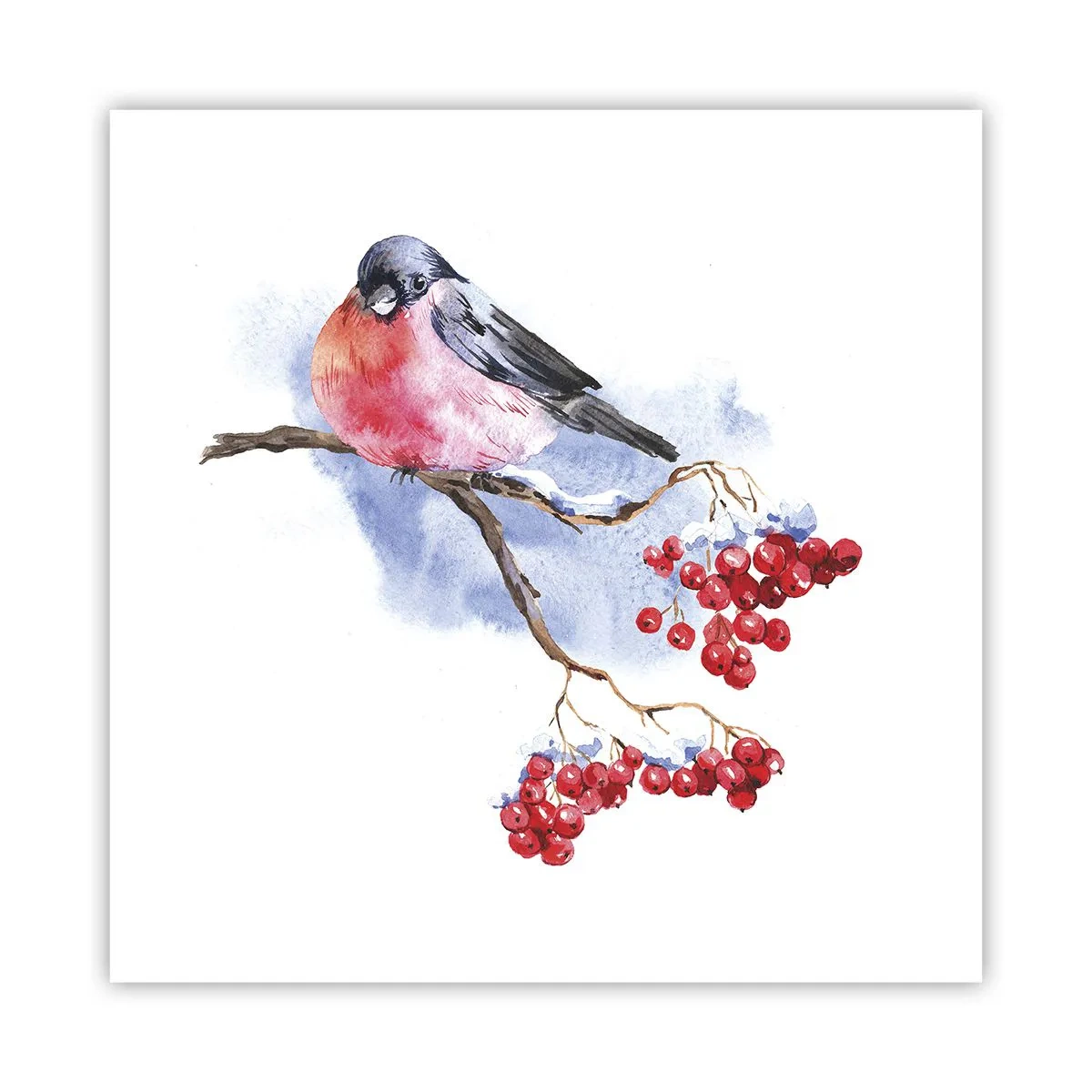 Poster - Winter in Farbe - 60x60 cm