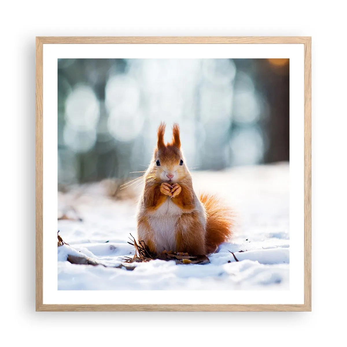 Poster in einem Rahmen aus heller Eiche - Wo schaust du hin? - 60x60 cm