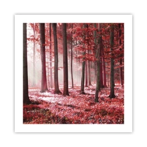 Poster - Rot ist genauso schön - 50x50 cm