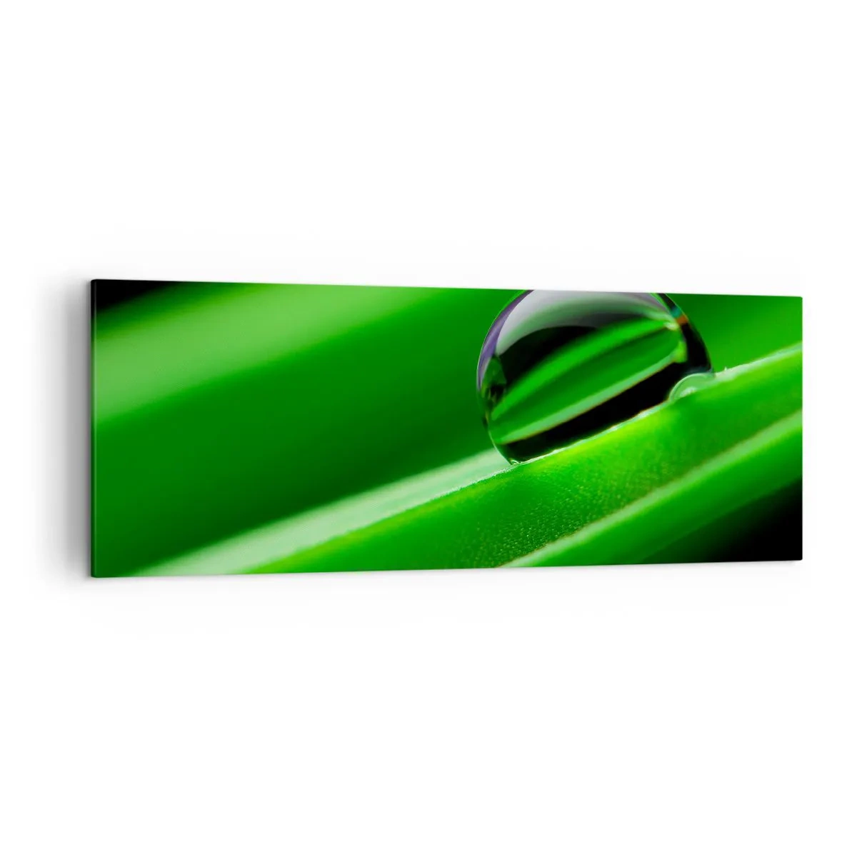 Bild auf Leinwand - Leinwandbild - Nahaufnahme eines Tautropfens auf einem grünen Blatt - 140x50cm - Leben hautnah - Moderne Wanddekoration für Wohnzimmer und Schlafzimmer ARTTOR