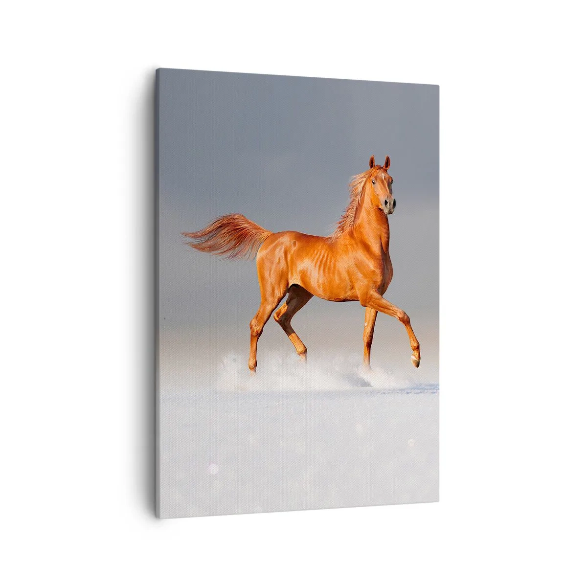 Bild auf Leinwand - Leinwandbild - Ein galoppierendes Pferd vor blauem Himmel - 50x70cm - Tanzende Anmut - Moderne Wanddekoration für Wohnzimmer und Schlafzimmer ARTTOR