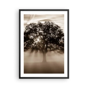 Poster in einem schwarzem Rahmen - Baum im Nebel mit Lichtstrahlen - 50x70cm - Baum der guten Nachrichten  - Moderne Wanddekoration für Wohnzimmer und Schlafzimmer ARTTOR