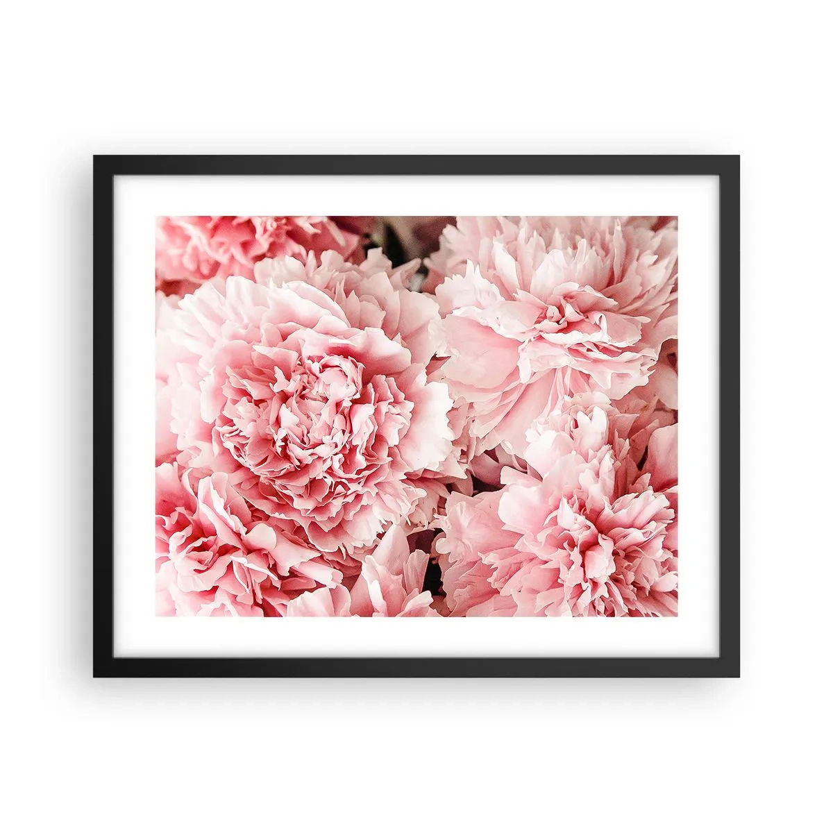 Poster in einem schwarzem Rahmen - Rosa Traum - 50x40 cm
