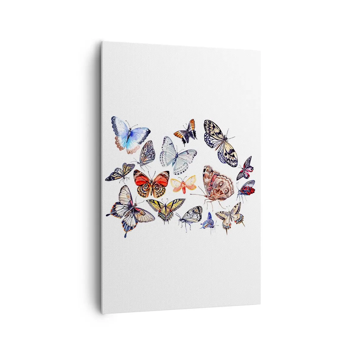 Bild auf Leinwand - Leinwandbild - Bunte Schmetterlinge auf weißem Hintergrund - 80x120cm - Spitzen, bunter Schwarm - Moderne Wanddekoration für Wohnzimmer und Schlafzimmer ARTTOR