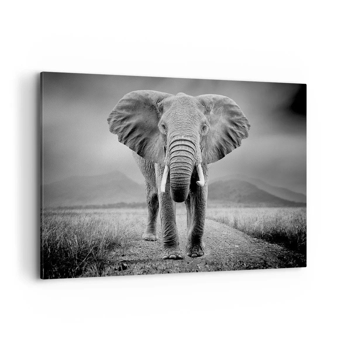Bild auf Leinwand - Leinwandbild - Ein mächtiger Elefant in der Savanne in monochromen Tönen - 100x70cm - Der Gastgeber heißt willkommen - Moderne Wanddekoration für Wohnzimmer und Schlafzimmer ARTTOR