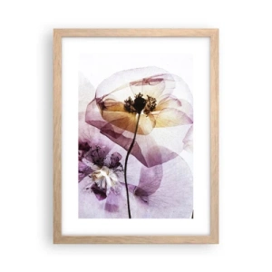Poster in einem Rahmen aus heller Eiche - Transparente Körperblumen - 30x40 cm