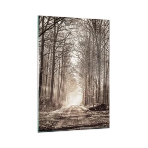 Glasbild - Bild auf glas - Ein Waldweg zwischen sepiafarbenen Bäumen - 80x120cm - Waldkathedrale - Moderne Wanddekoration für Wohnzimmer und Schlafzimmer ARTTOR