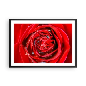 Poster in einem schwarzem Rahmen - Nahaufnahme einer roten Rose mit Wassertropfen auf den Blütenblättern - 70x50cm - In den Tautropfen - Moderne Wanddekoration für Wohnzimmer und Schlafzimmer ARTTOR