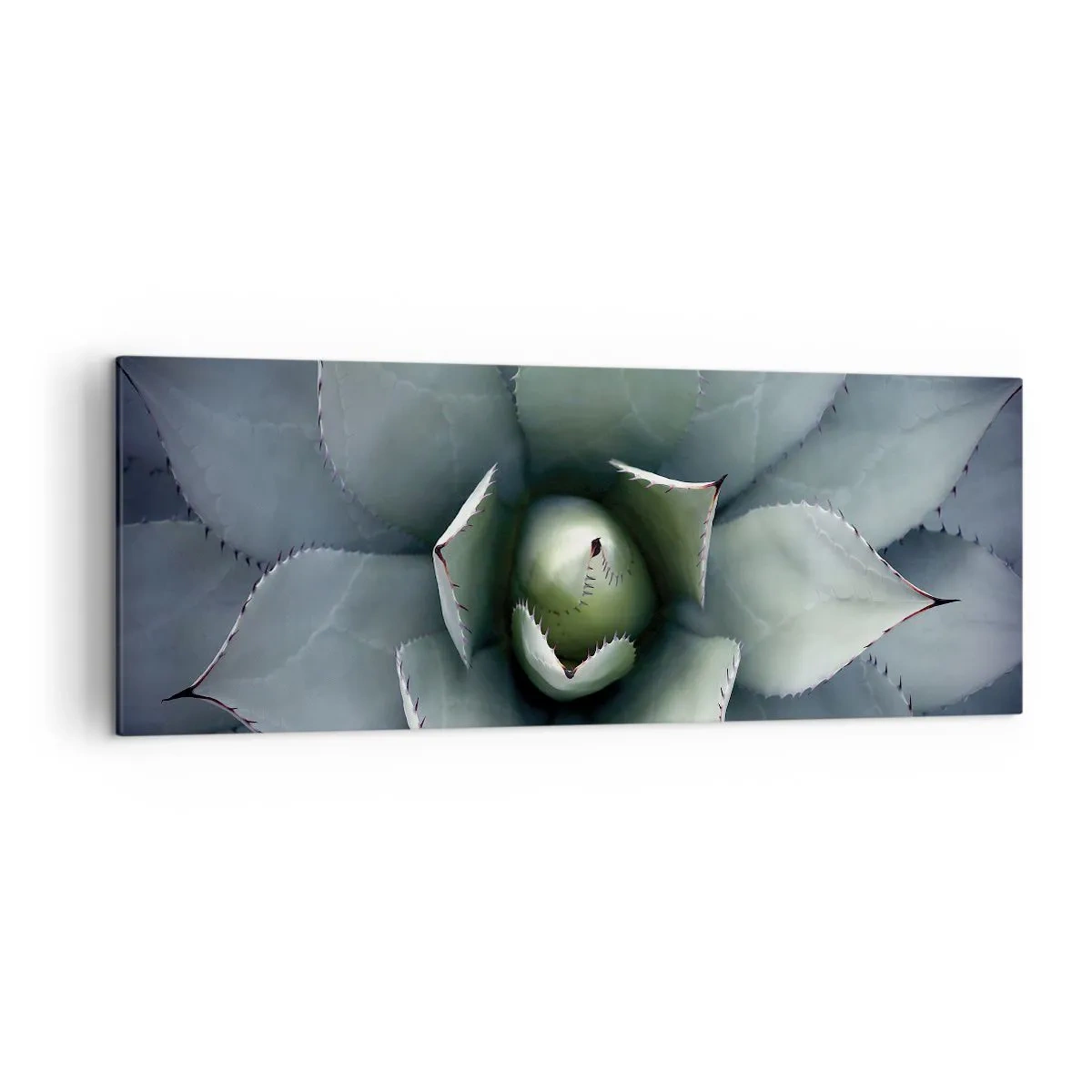 Bild auf Leinwand - Leinwandbild - Nahaufnahme einer Agavenrosette in zarten Grüntönen - 140x50cm - Es lockt an und warnt - Moderne Wanddekoration für Wohnzimmer und Schlafzimmer ARTTOR