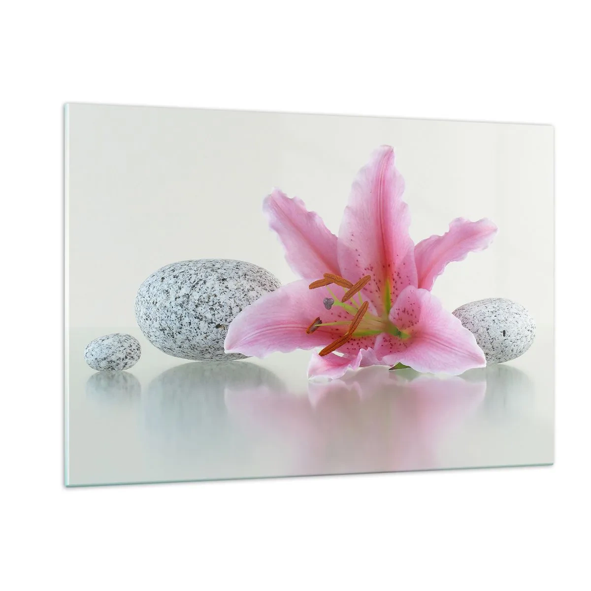 Glasbild - Bild auf glas - Rosa Lilie vor einem Hintergrund aus weißen Steinen im Spa-Stil - 120x80cm - Eine Studie in Pink, Grau und Weiß - Moderne Wanddekoration für Wohnzimmer und Schlafzimmer ARTTOR
