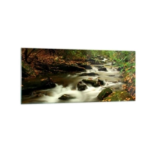 Glasbild - Bild auf glas - Ein Waldbach, der zwischen Steinen fließt, umgeben von Grün - 120x50cm - Wie flüssiges Silber - Moderne Wanddekoration für Wohnzimmer und Schlafzimmer ARTTOR
