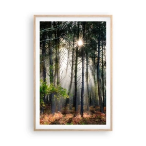 Poster in einem Rahmen aus heller Eiche - Waldgebiet - 61x91 cm