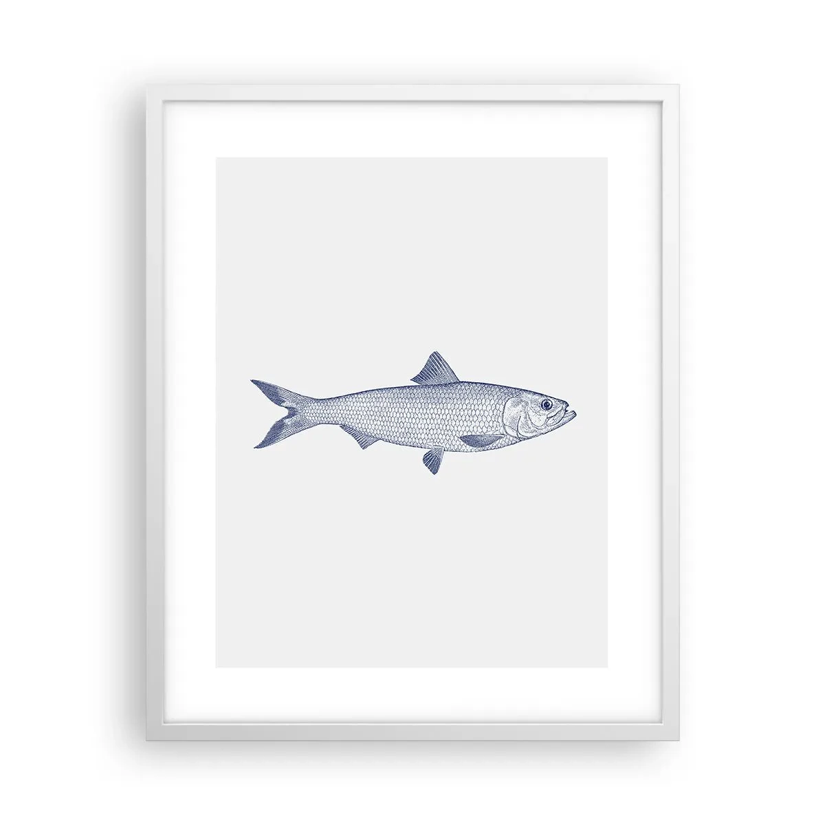 Poster in einem weißen Rahmen - Grüße aus den nördlichen Meeren - 40x50 cm