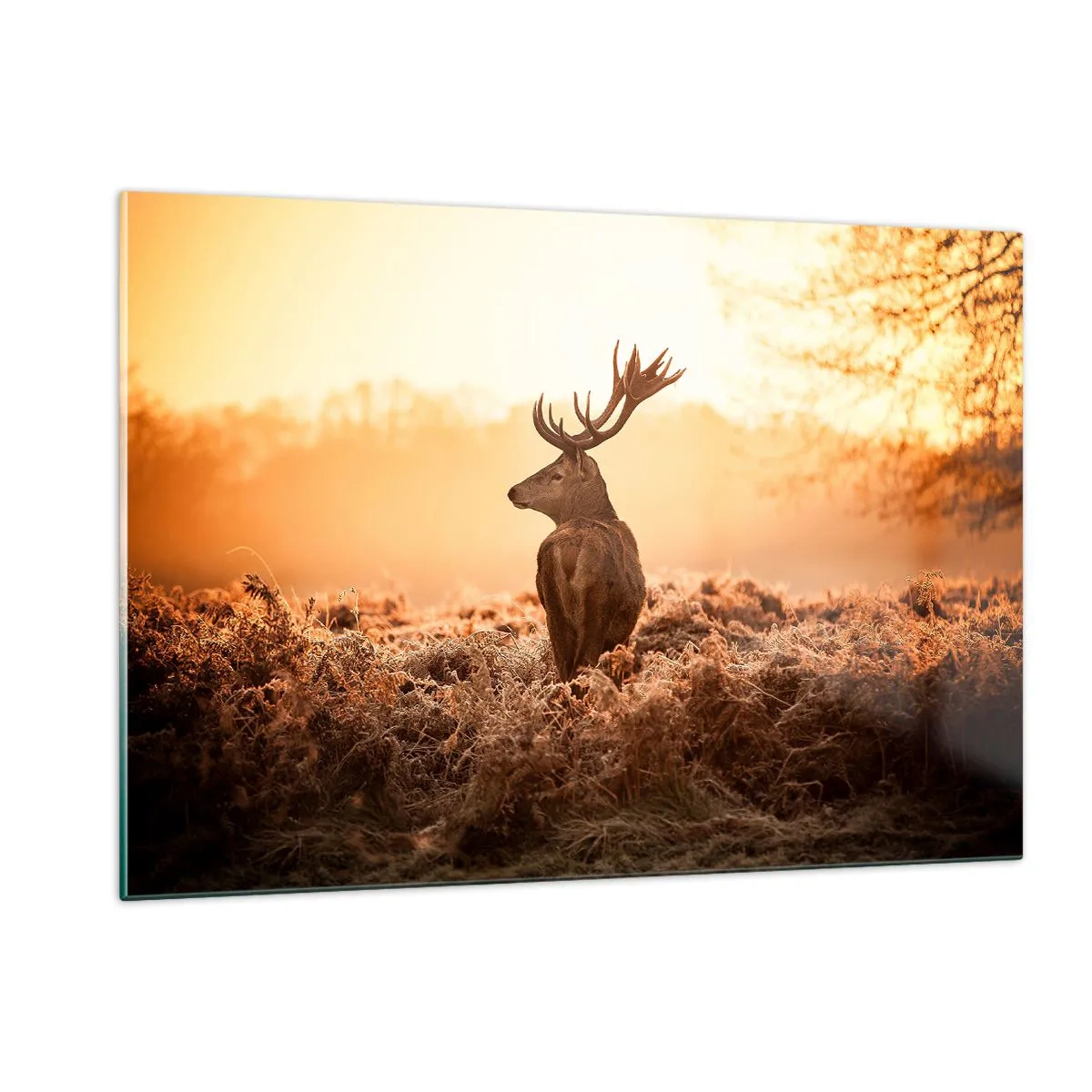 Glasbild - Bild auf glas - Hirsch vor dem Hintergrund eines Sonnenaufgangs in einer natürlichen Landschaft - 120x80cm - Herr im eigenen Land - Moderne Wanddekoration für Wohnzimmer und Schlafzimmer ARTTOR