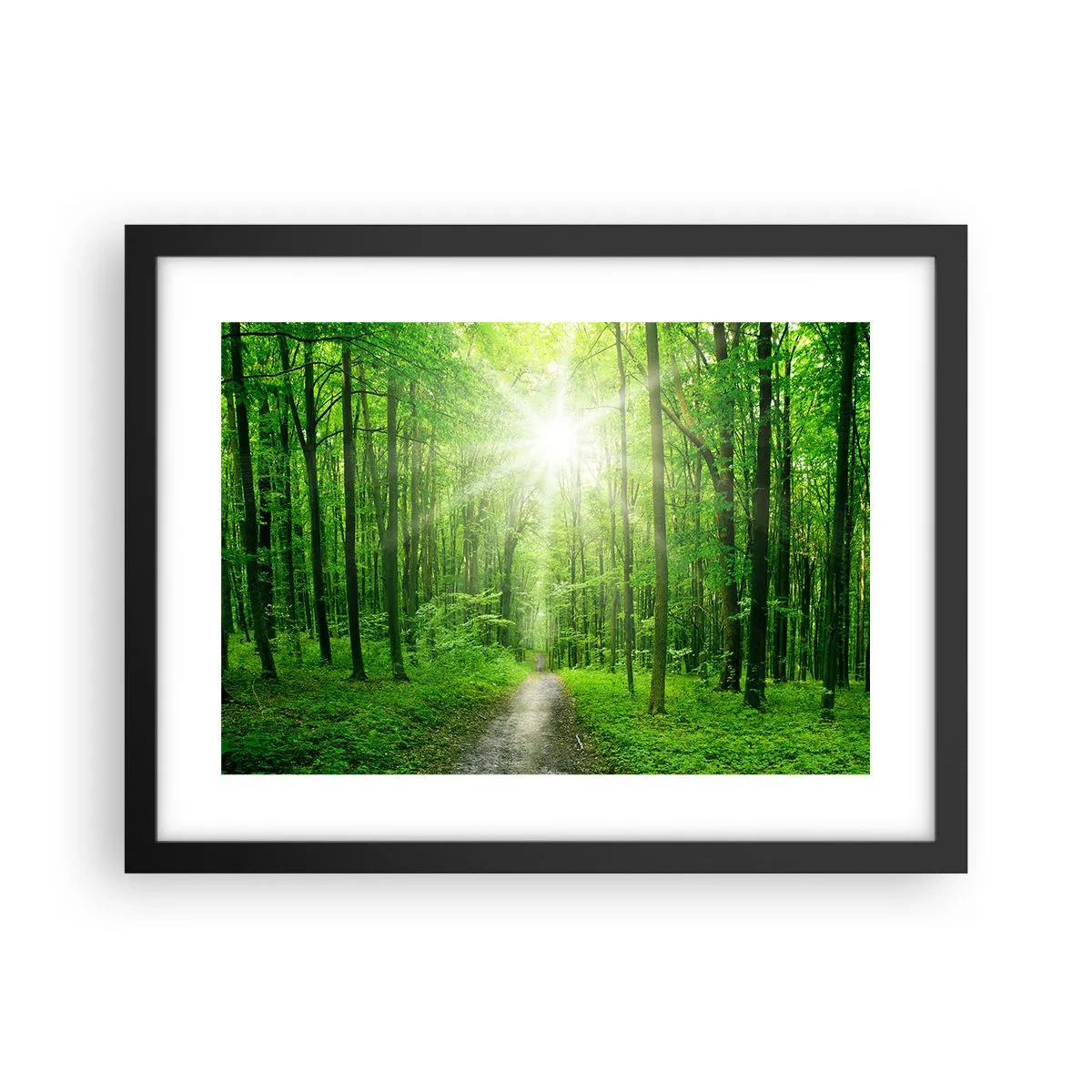 Poster in einem schwarzem Rahmen - Die grüne Kathedrale - 40x30 cm