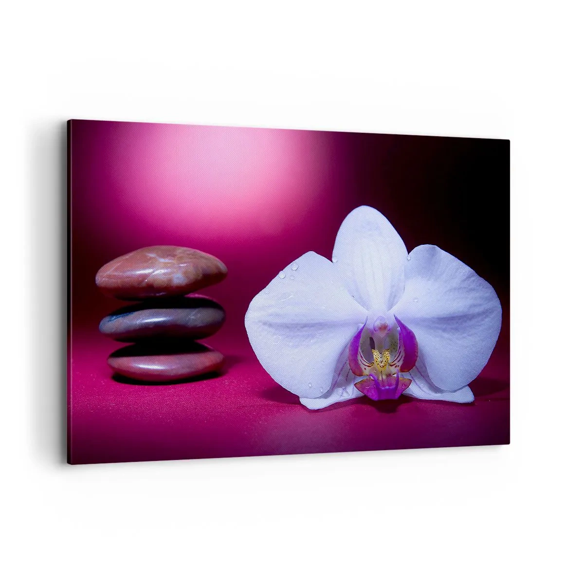 Bild auf Leinwand - Leinwandbild - Weiße Orchidee und Steine auf rosa Hintergrund - 120x80cm - Eine Studie der Frische in Lila - Moderne Wanddekoration für Wohnzimmer und Schlafzimmer ARTTOR