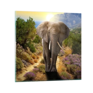 Glasbild - Bild auf glas - So sah Eden aus - 70x70 cm