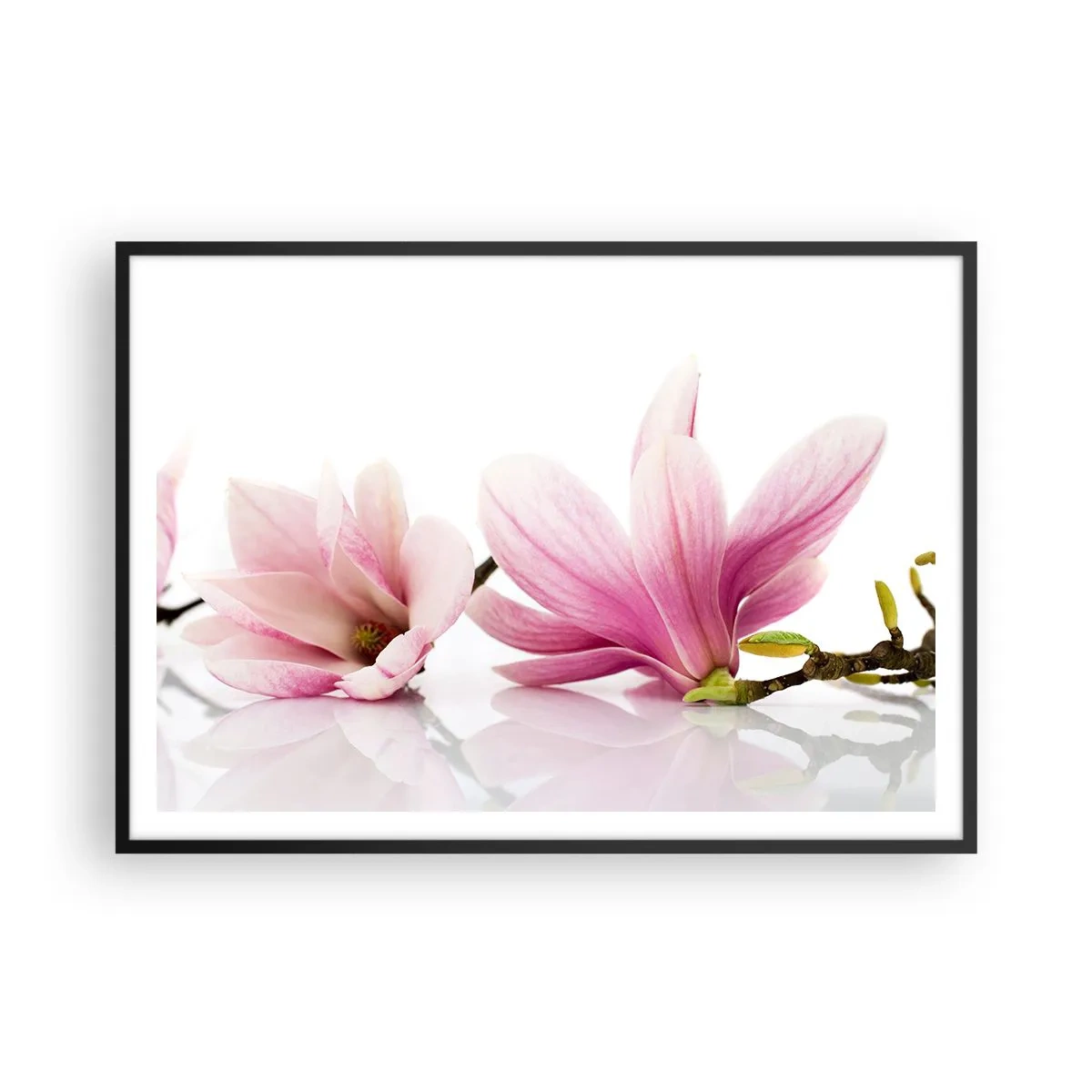 Poster in einem schwarzem Rahmen - Zarte rosa Magnolien auf weißem Hintergrund - 100x70cm - Zart wie ein Frühlingswind - Moderne Wanddekoration für Wohnzimmer und Schlafzimmer ARTTOR