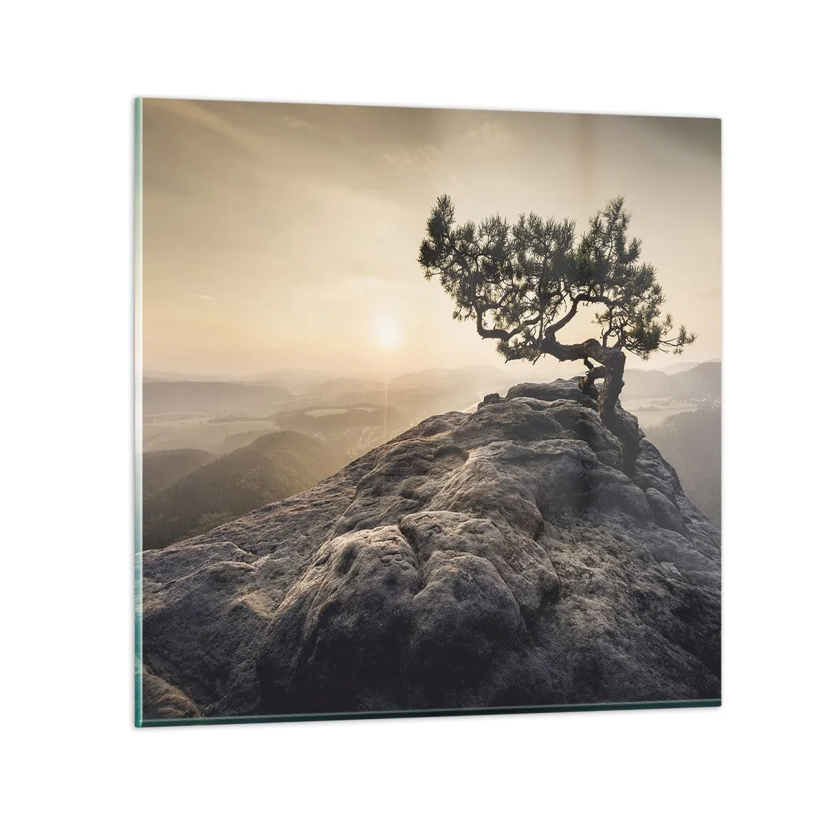 Glasbild - Bild auf glas - Das Leben gewinnt immer - 70x70 cm