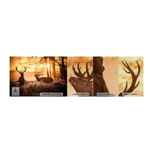 Fototapeten Muster Premium Sand - Der Traum eines Jägers - Landschaft, Reh, Jagd - 100x30 cm