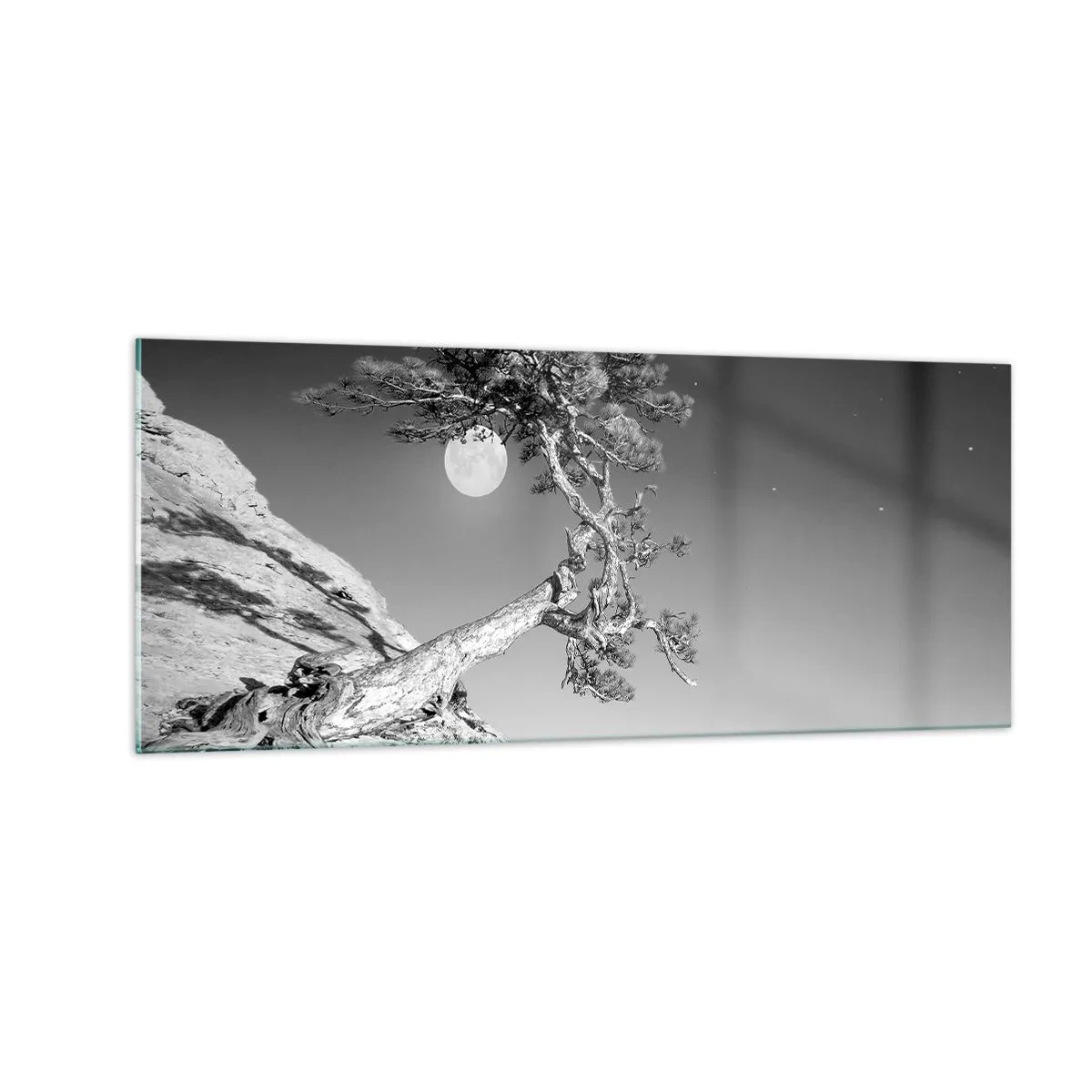 Glasbild - Bild auf glas - Siegreiche Kämpferin - 100x40 cm