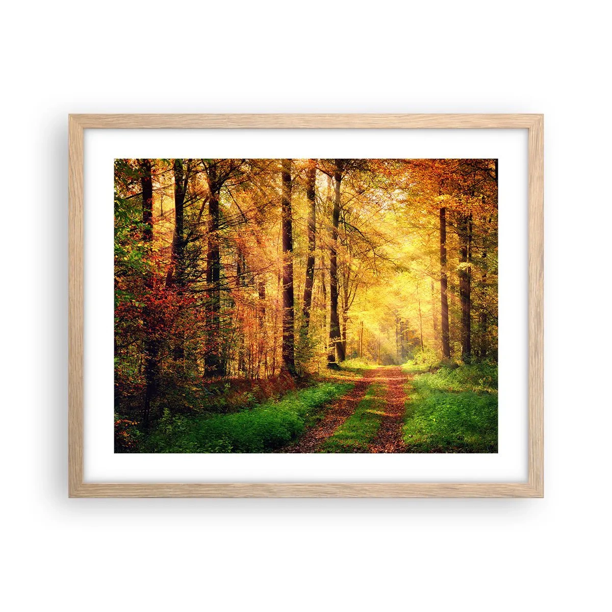 Poster in einem Rahmen aus heller Eiche - Waldgoldene Stille - 50x40 cm