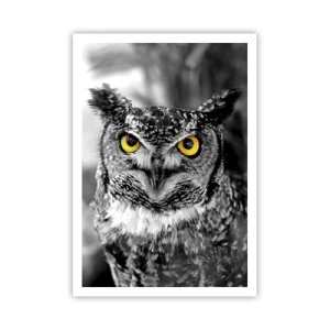 Poster - Nichts wird sich verstecken - 70x100 cm