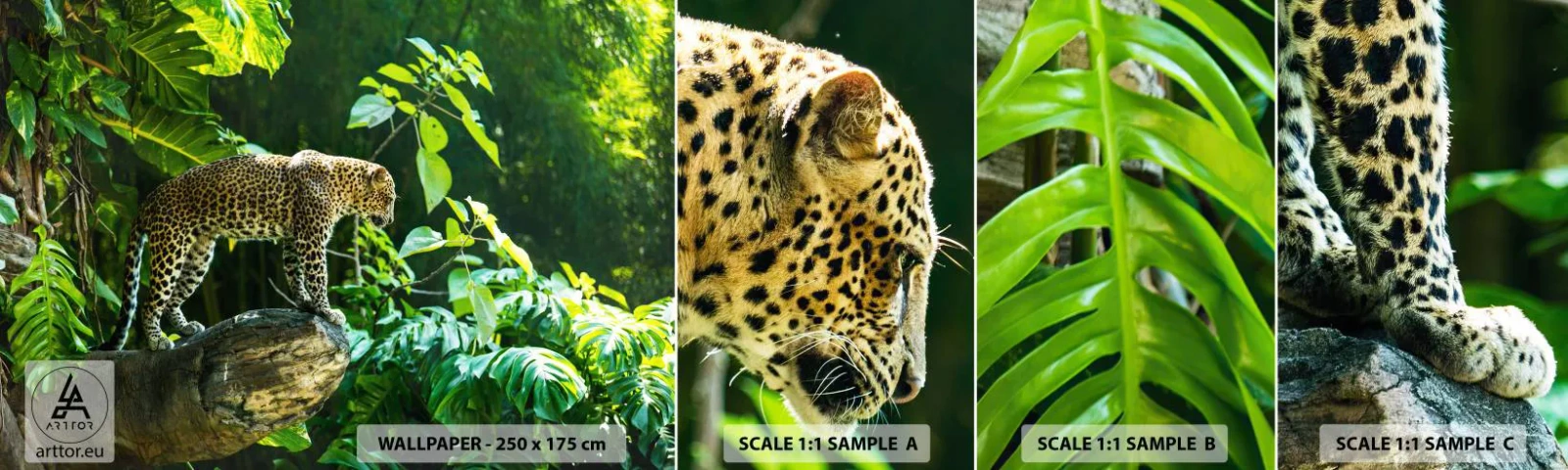 Fototapeten Muster Selbstklebend Deluxe Sticker - Auf die Jagd? - Dschungel, Leopard, Tropen - 100x30 cm