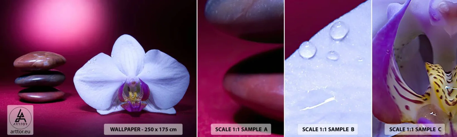 Fototapetenmuster Standard Eco - Eine Studie der Frische in Lila - Blumen, Spa, Steine - 100x30 cm