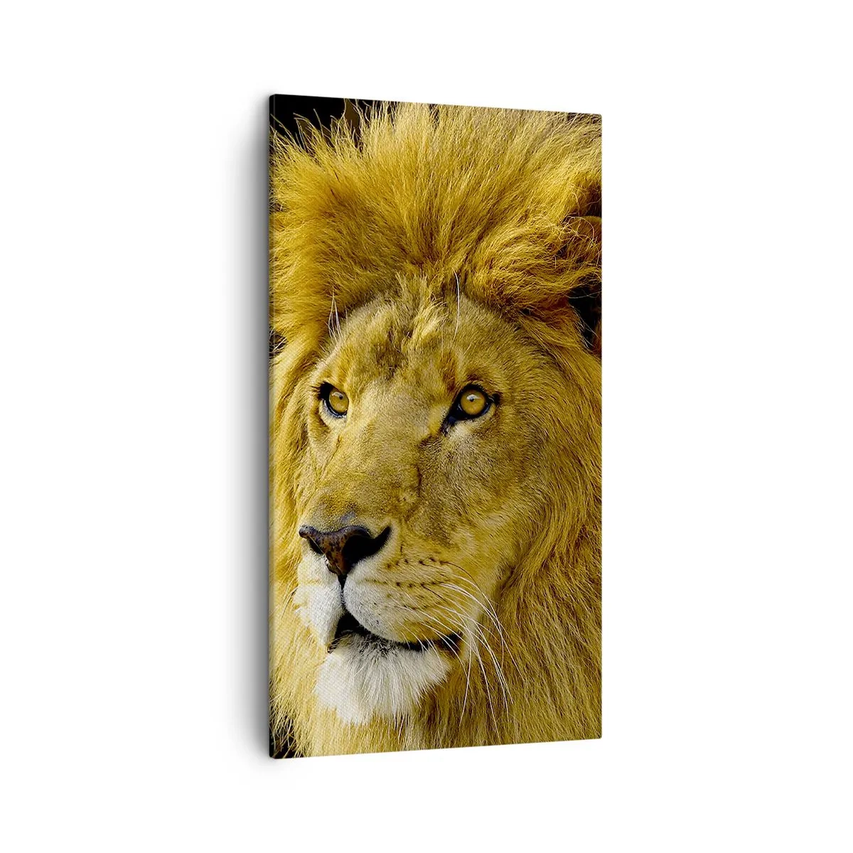 Bild auf Leinwand - Leinwandbild - Porträt des Königs - 45x80 cm