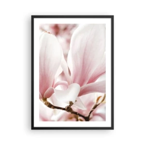 Poster in einem schwarzem Rahmen - Zarte rosa Magnolienblütenblätter auf unscharfem Hintergrund - 50x70cm - Eine Fülle von Zärtlichkeit - Moderne Wanddekoration für Wohnzimmer und Schlafzimmer ARTTOR