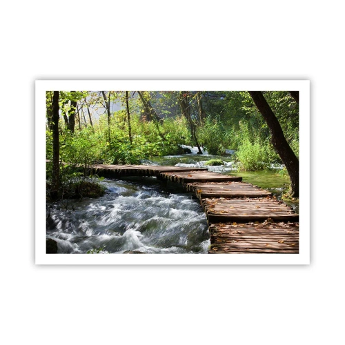 Poster - Über der schaumigen Kaskade - 91x61 cm