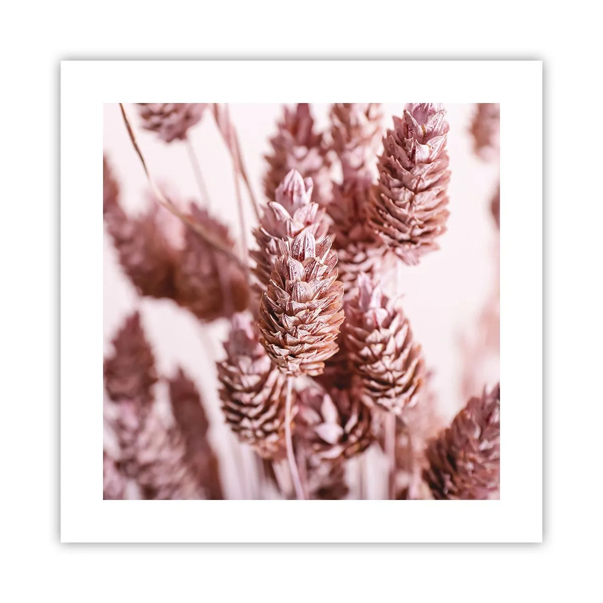 Poster - Scheinbar unauffällig - 40x40 cm